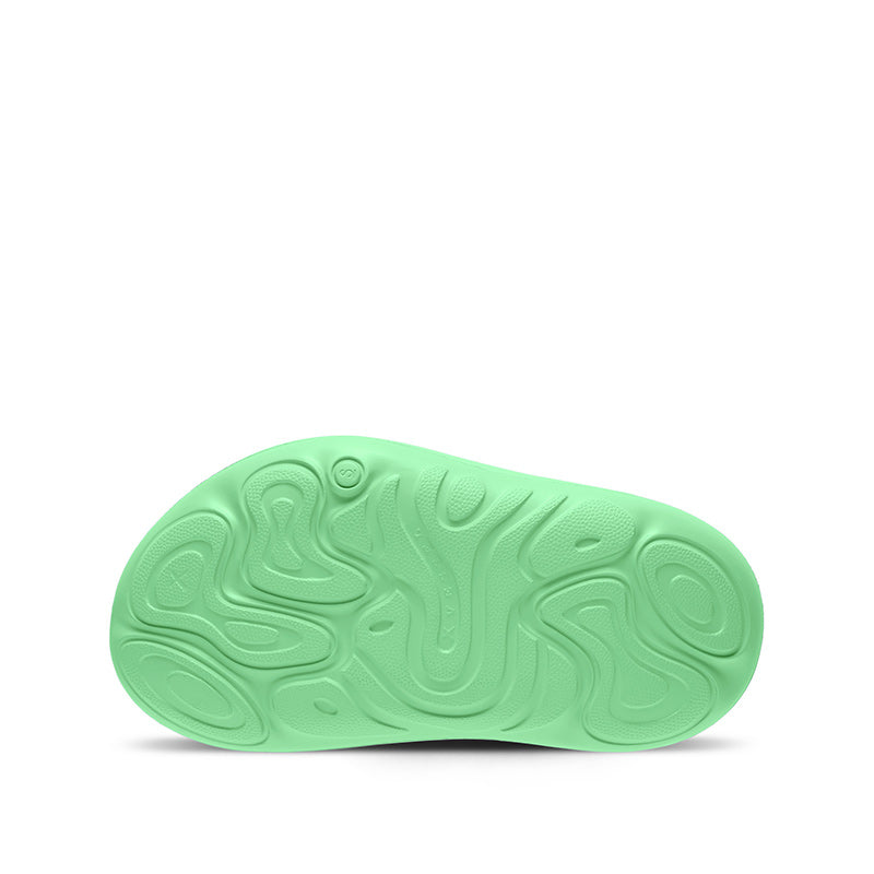 xVESSEL Noah's ark Mint Green